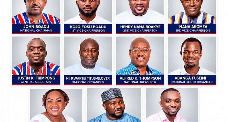 Meet the newly elected national executives to lead NPP return to power in 2028