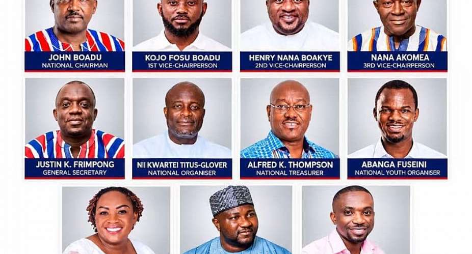 NPP National Executive Elections: Full Official Results