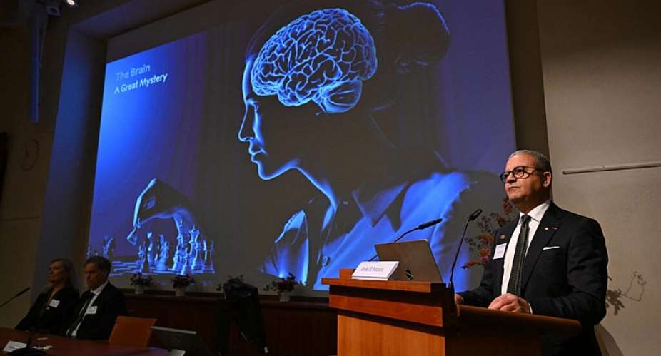 The Nobel committee announced the winners in Stockholm -  Jonathan Nackstrand / AFP