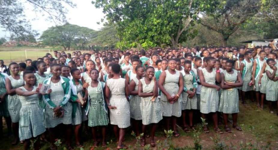 Ghana Education Service Bans Political Activities In Schools After Akamba Politics