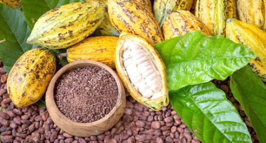 Review the 21 cocoa price increment; its an insult to farmers – PNC to gov't