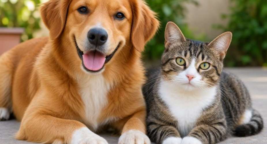 Four children among five rabies victims in BongoDistrict