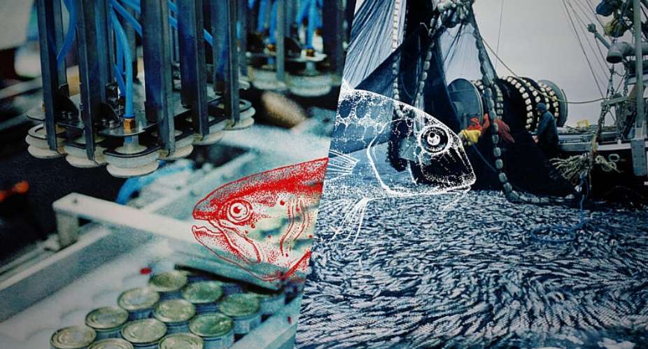 France’s seafood problem starts elsewhere -  Studio graphique France Mdias Monde