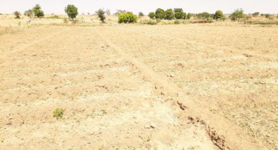 1V1D: Bawku farmers appeal for boreholes as dam dries up