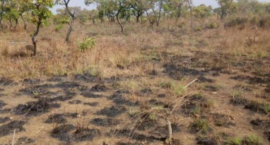 Tanchara Koro community members arrest 18 galamsey operators