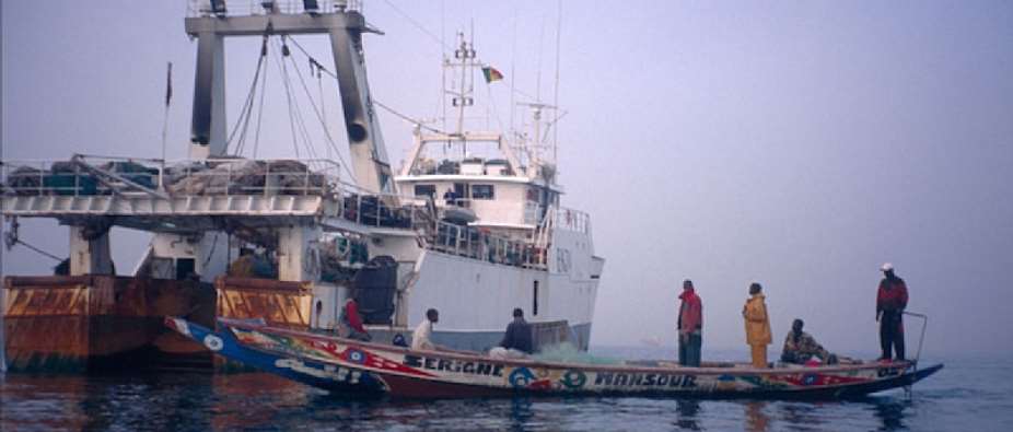 Spanish-Senegalese Trawlers Experimental Fisheries Land Millions of Dollars Backdoors