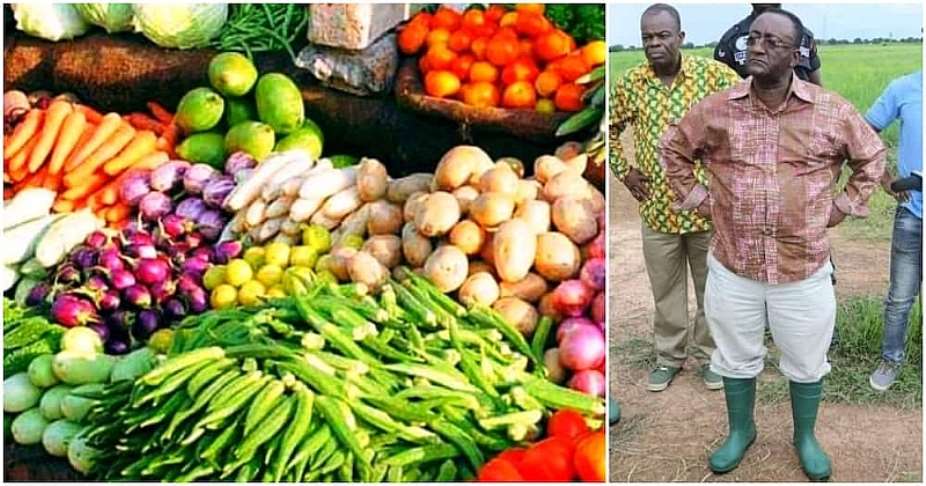 Agric Ministrys sale of foodstuff a knee-jerk reaction  GAWU
