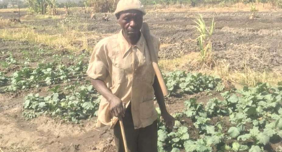 The blind farmer who 'sees' with his mind and fingers