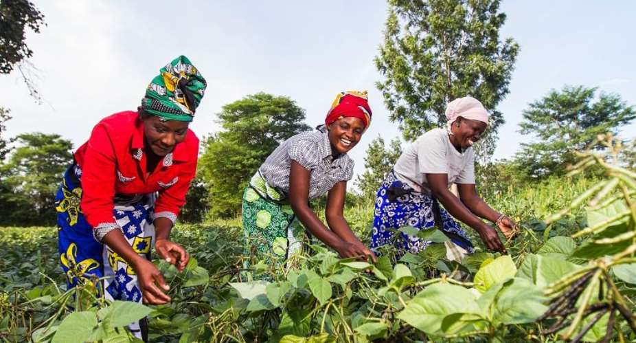Climate Finance Neglects Small-Scale Farmers—New Report