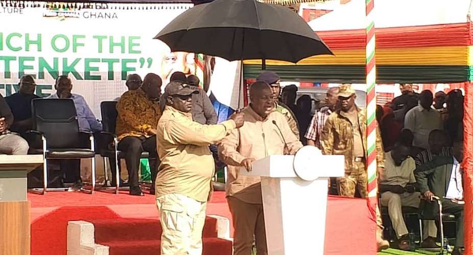 Ghana targets 75% poultry self-sufficiency by 2028 – President Mahama