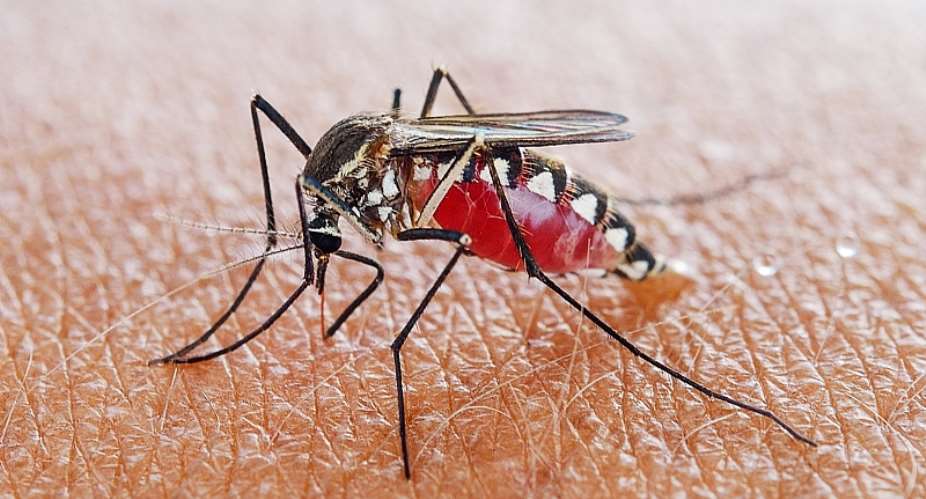AR – GHS Targets 30 Reduction In Malaria OPD Cases With ITNs