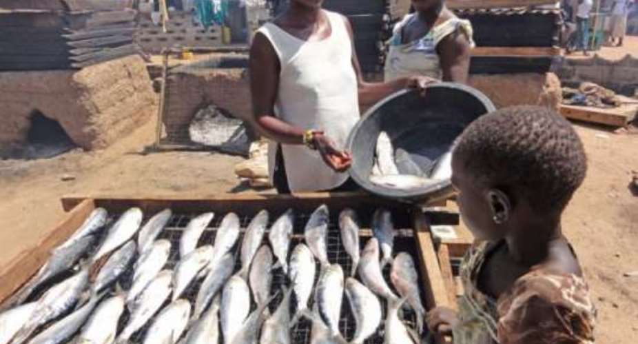 Fishmongers Campaign Against 'Galamsey On The Sea'