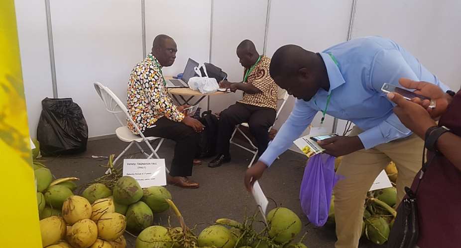 Coconut Federation of Ghana Demand Inclusion Into National Tree Crop Authority Bill
