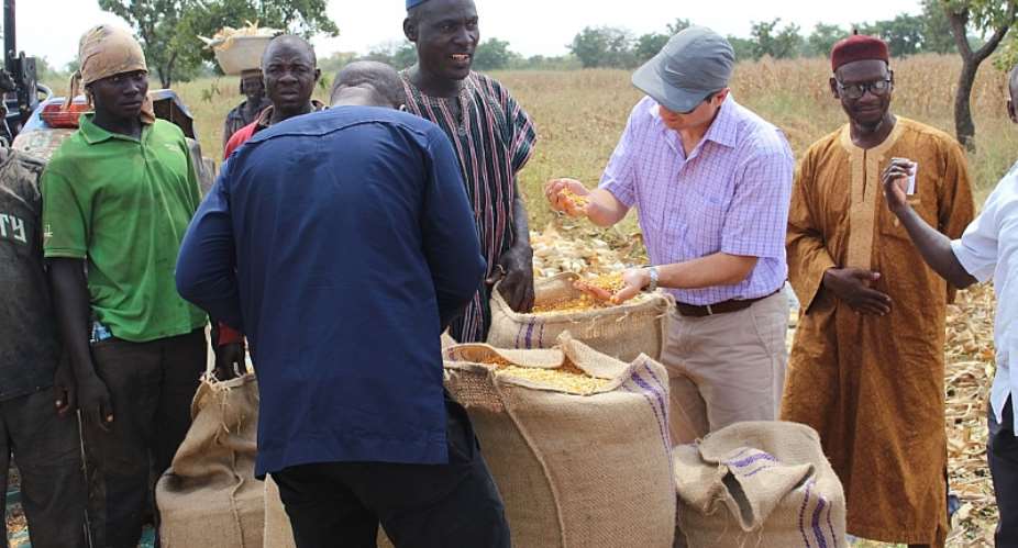 How Nestl Is Supporting Cereal Farming And Livelihoods In Northern Ghana