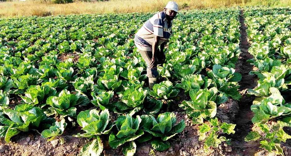 Solar-Powered Irrigation: A Boost For Farming Productivity