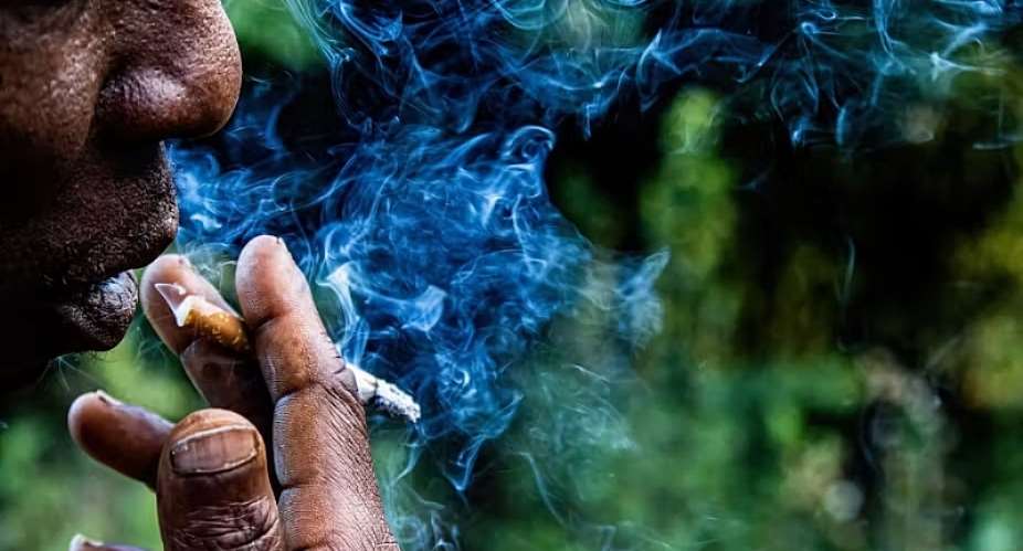 Tobacco isn’t a good investment – study shows a decline in stock prices since 2016