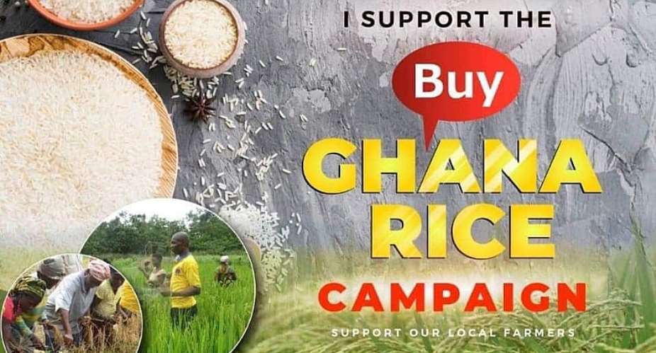 The Rice Campaign: Adopting Domestication Principles To End Economic Woes