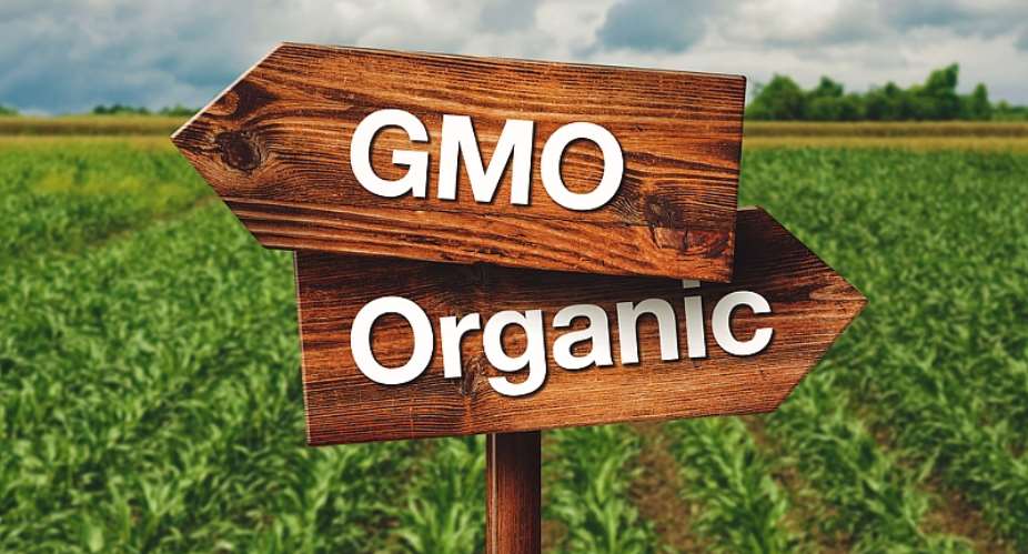 Re: GMO Foods Are Safe To Eat – Scientist