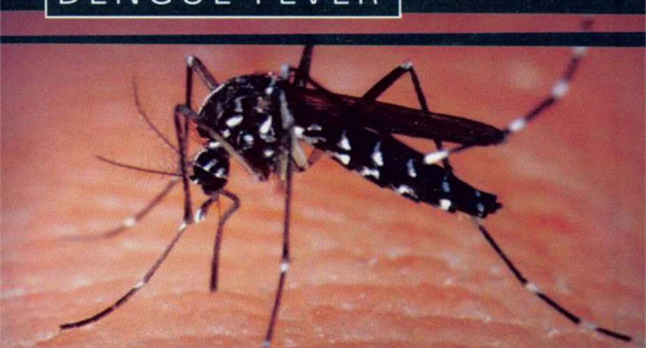 The fever is transmitted by the aedes mosquito