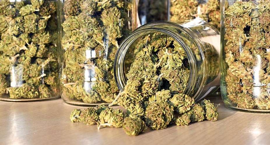 Legalize Medicinal Marijuana For Health And Economic Gains