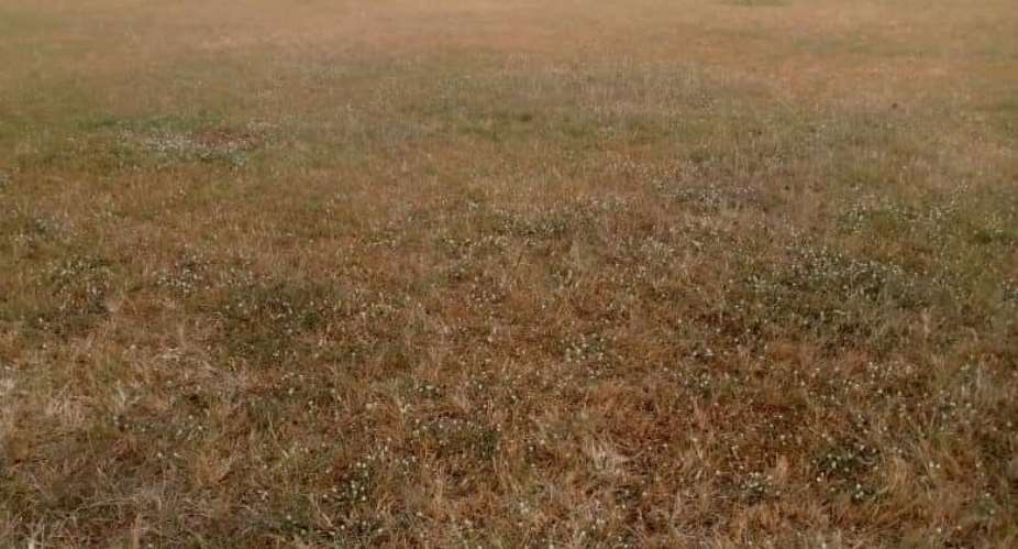 State of the Berekum Chelsea pitch in the day leading to the clash against Kotoko