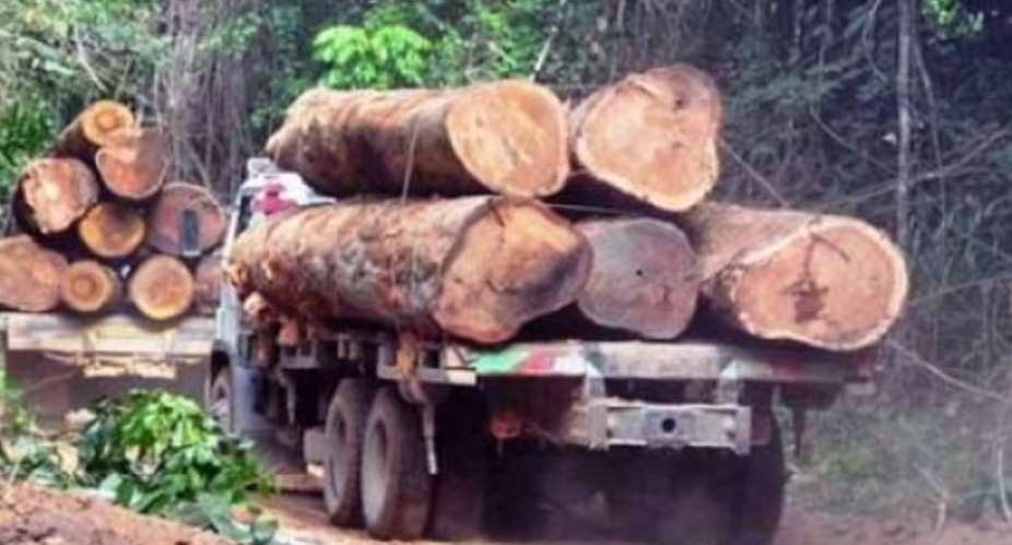 ECOCARE Ghana sues AG, Forest Commission over allocation of rights for commercial logging