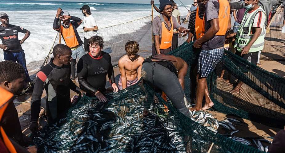 Small-scale fishers in Durban are drawn to southern Africaamp;39;s sardine run. - Source: Rajesh JantilalAFP via Getty Images