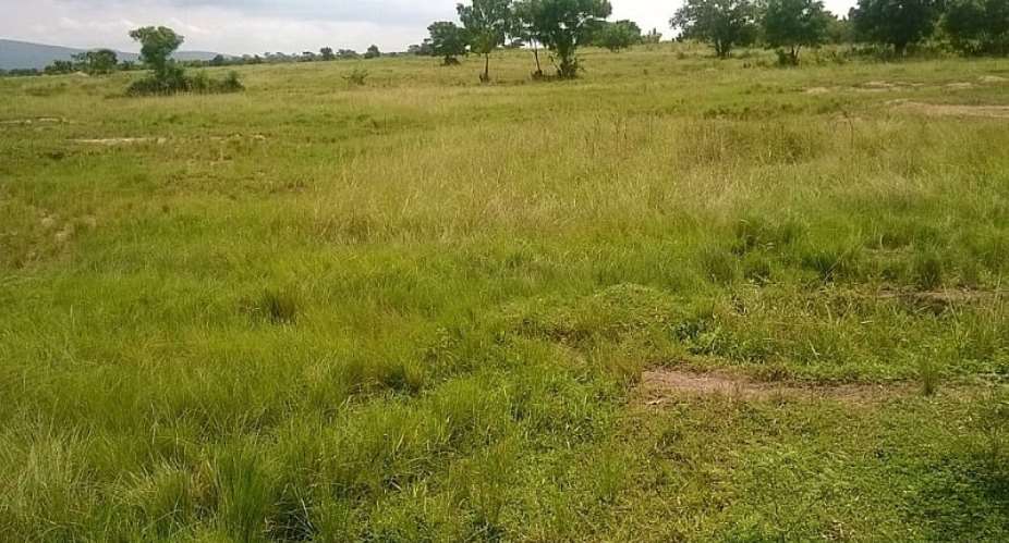 John Mahamas Proposed Solutions for problems between Fulani Herdsmen and Local Farmers