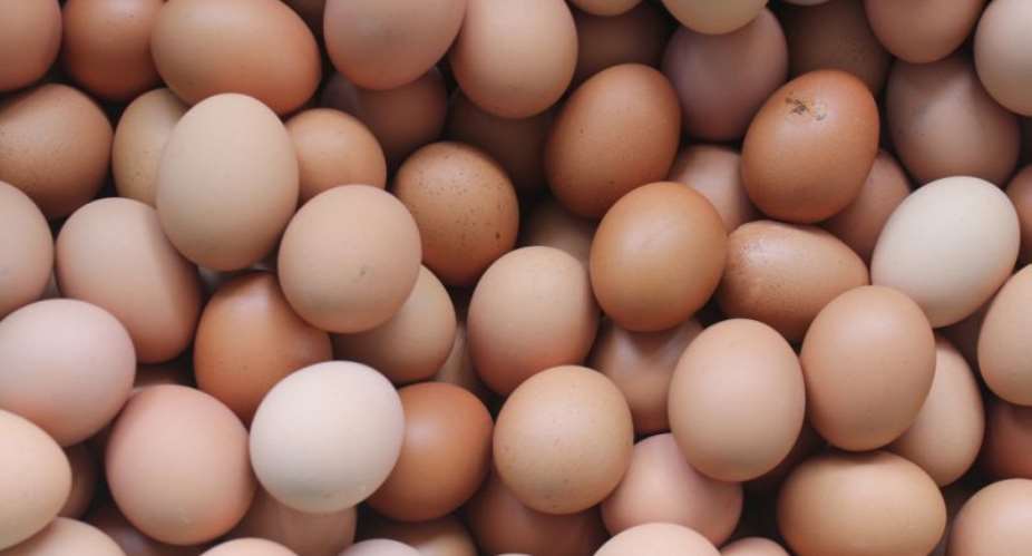 AR: Price Of Eggs To Increase Next Year – Poultry Farmers