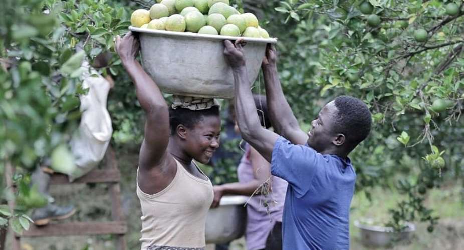 Sustainable Farming Fuels Healthier Communities