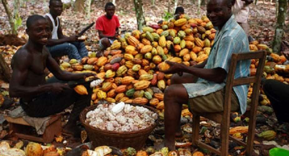 Cocoa farmers, others to boycott 2021 National Farmers Day Celebration