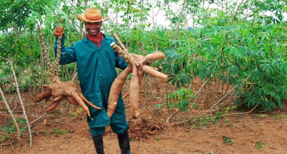 How Smart Agricultural Finance Can End Rural Poverty in Ghana