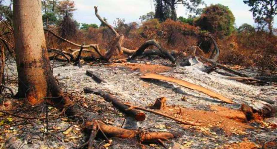 A report from the World Bank indicates that Ghana is losing close to 12 percent of its Gross Domestic Product due to environmental degradation. Photo credit: Media Ghana
