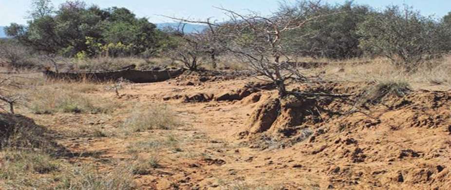 Corporate Poisoning of Agricultural Land in Rural South Africa: The Silent Scorched-Earth Policy