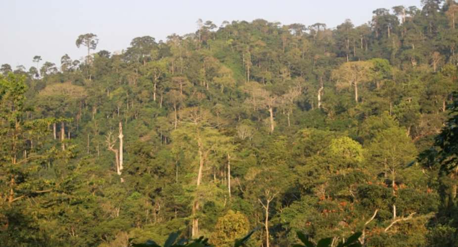 Stop Mining Atewa Forest — A Rocha Ghana Sues Gov't