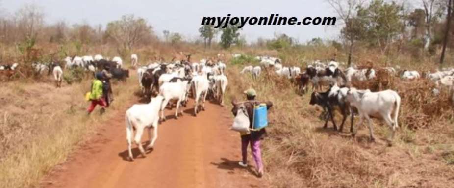 Cattles Flee Agogo Amid High Security Operations