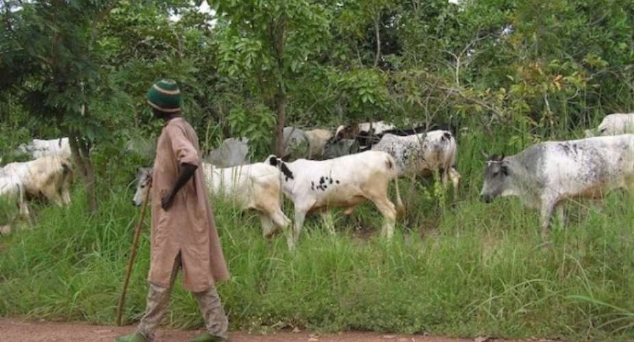 Shooting Cattles Won't Solve Fulani Menace