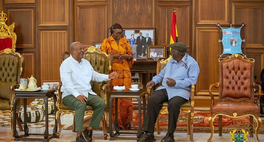Ghanaians must give former presidents soft landing, life is very tough for them – Joyce Bawa Mogtari
