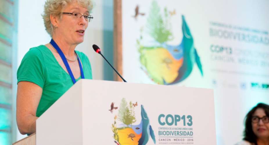 Irene Hoffmann-FAO at COP13