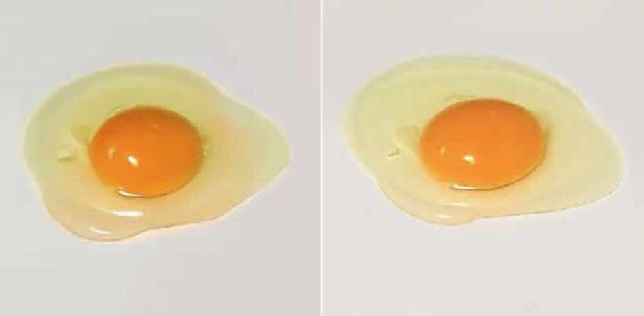 Which Of These Eggs Is Real, The Other Is A Painting.
