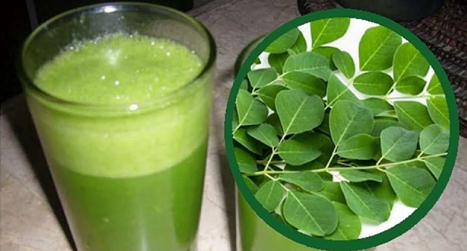 The Benefits And Uses Of Moringa: Infertility In Men And Women
