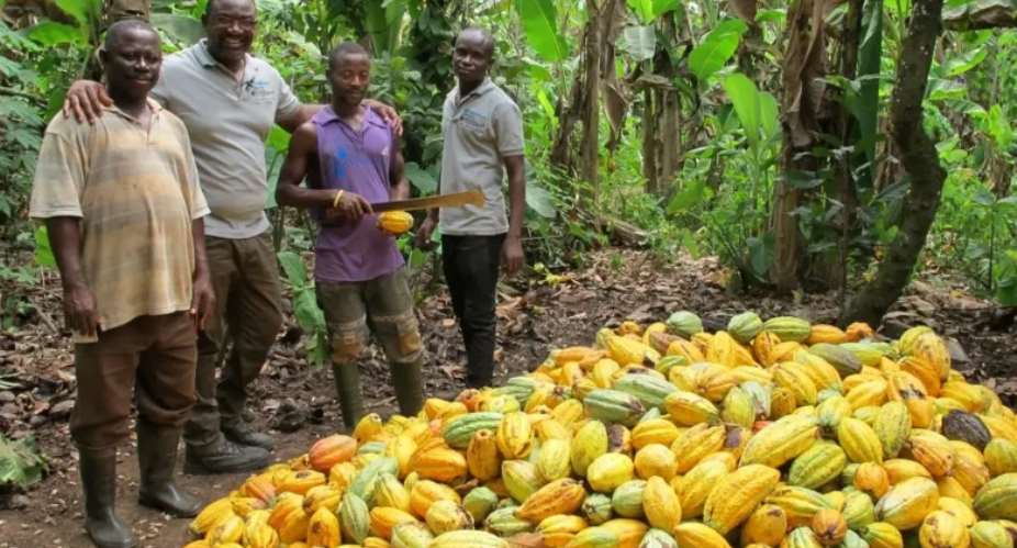 Amend PNDC Law 81 to reduce political influence in COCOBOD - GCCP