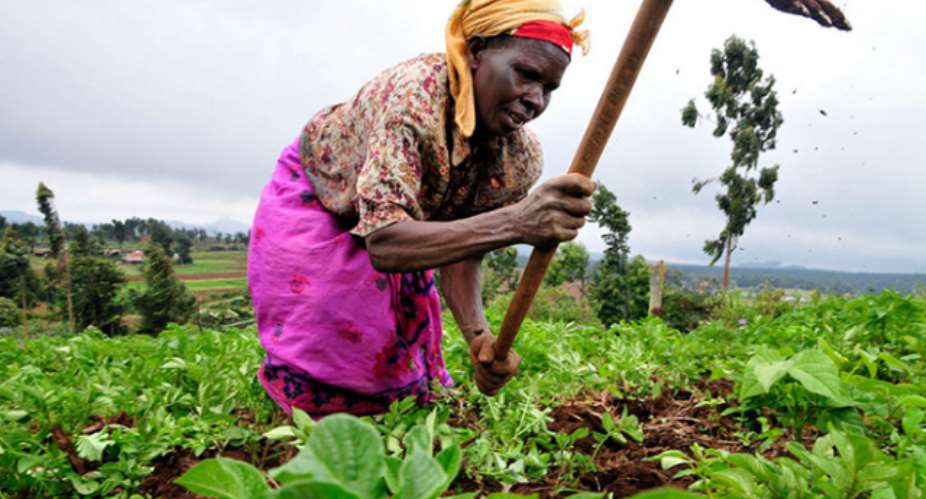 Current Challenges Facing Ghanaian Agriculture
