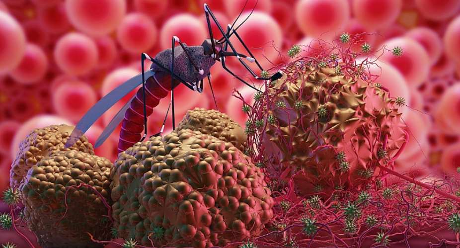 Malaria's Evolving Grip: Can the New Vaccine Counter the Elusive Parasite?