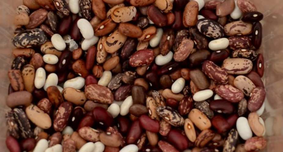 Common Bean: The Industrial And Nutritional Solution