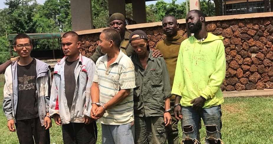 Forestry Commission destroys 10 excavators in Krokosua Hills Forest Reserve