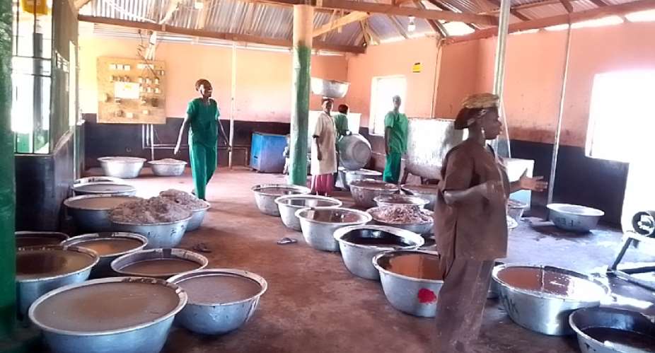 Women-Led SMEs: Yumzaa Shea Butter Processing Center appeals for solar panels
