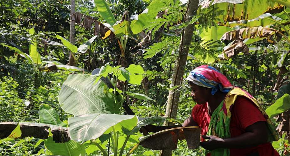 The muscle behind the push for sustainability