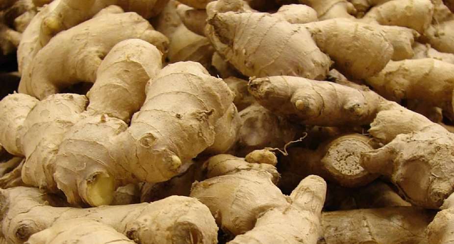 Krabonso Community gets demonstrating center to improve ginger production