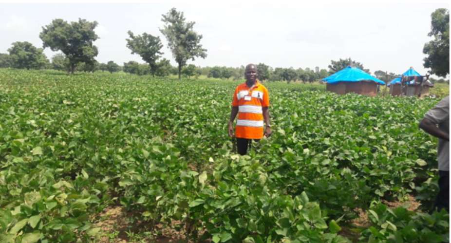 Setting The Pace For The Ghanaian Youth To Venture Into Agriculture—Martin Ariku Akudugu Shows The Way